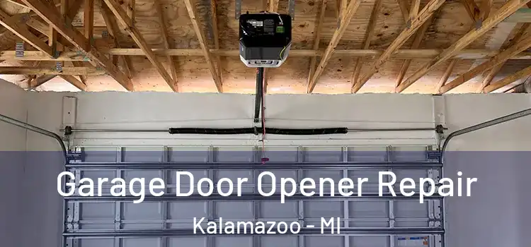  Garage Door Opener Repair Kalamazoo - MI
