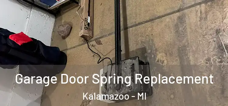  Garage Door Spring Replacement Kalamazoo - MI