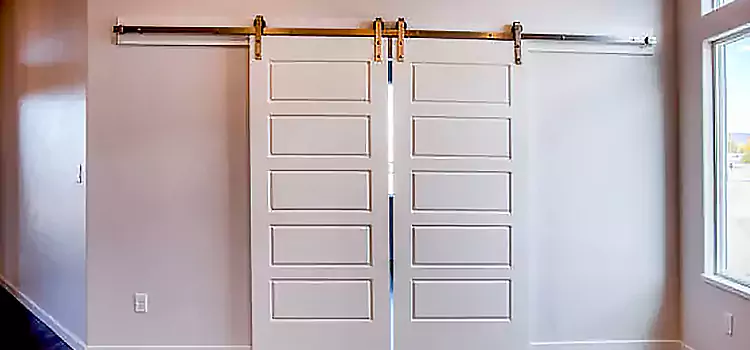 Glass Barn Door with Installation Hardware Kit Kalamazoo